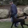 Off Leash Education