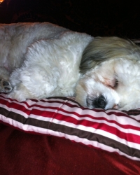 Too Cute