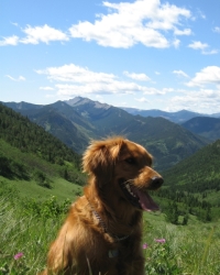 mountain-abbey