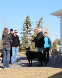 Lethbridge Training Clinic