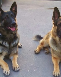 Molly & Nixon