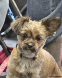 I\'m Cute