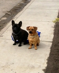 Cody & Cooper