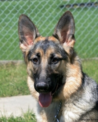 Parker