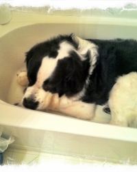 Sleeping it Off