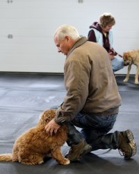 Pup Talk
