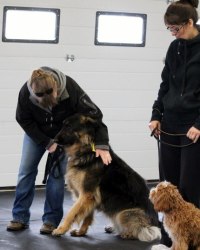 Jesse & Bear