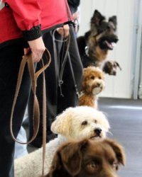 We are ready