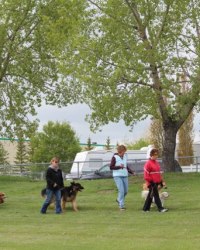 Pack Walk