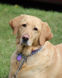 Zoe