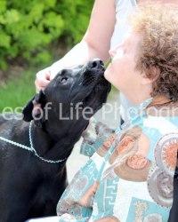 Love at first sight