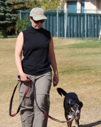 Loose Leash Walking