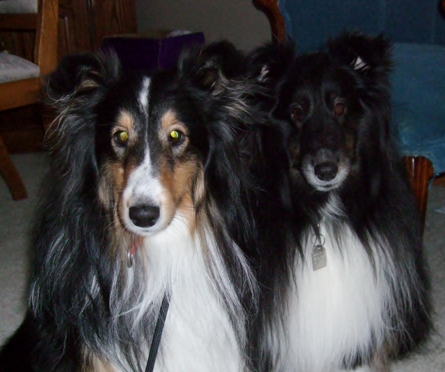 Kerri & River