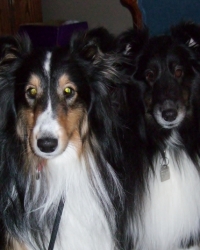 Kerri & River