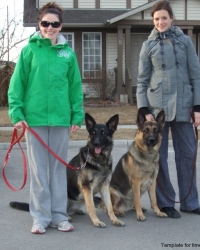 The Shepherd Girls