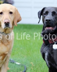 Edward & Zoe
