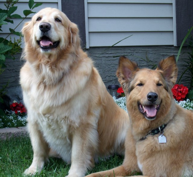 Dallas & Milo