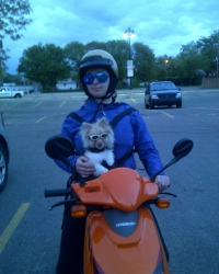 Ridn\' with reko