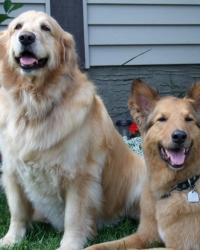 Dallas & Milo
