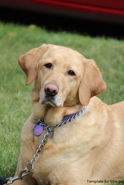 Zoe