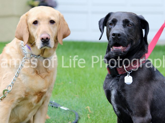 Edward & Zoe