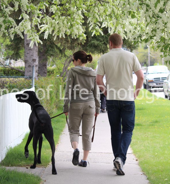 Walking Bobby