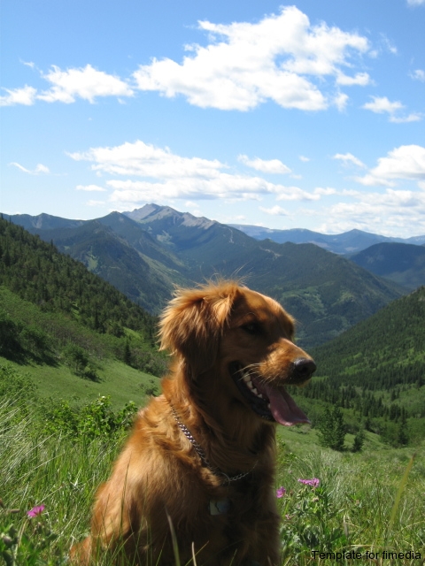 mountain-abbey