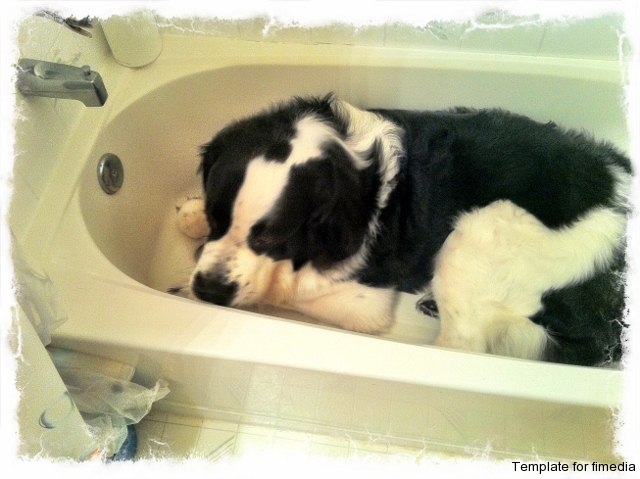 Sleeping it Off