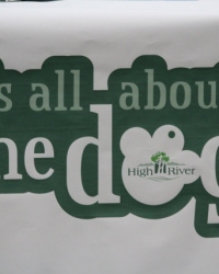 It\'s All About The Dog\'s