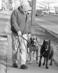 2 dogs