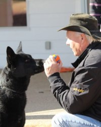Lethbridge Training Clinic
