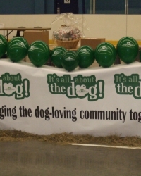 It\'s All About The Dog\'s