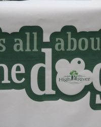 It\'s All About The Dog\'s