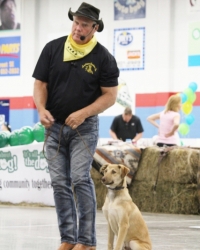 It\'s All About The Dog\'s