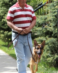 Loose Leash Walking