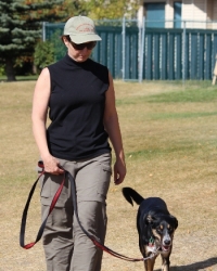 Loose Leash Walking