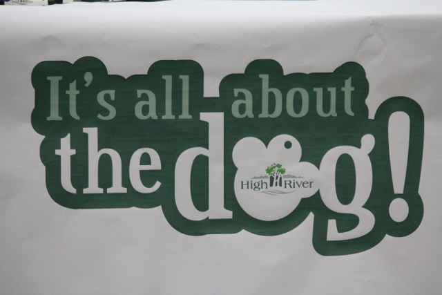 It\'s All About The Dog\'s