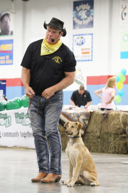 It\'s All About The Dog\'s