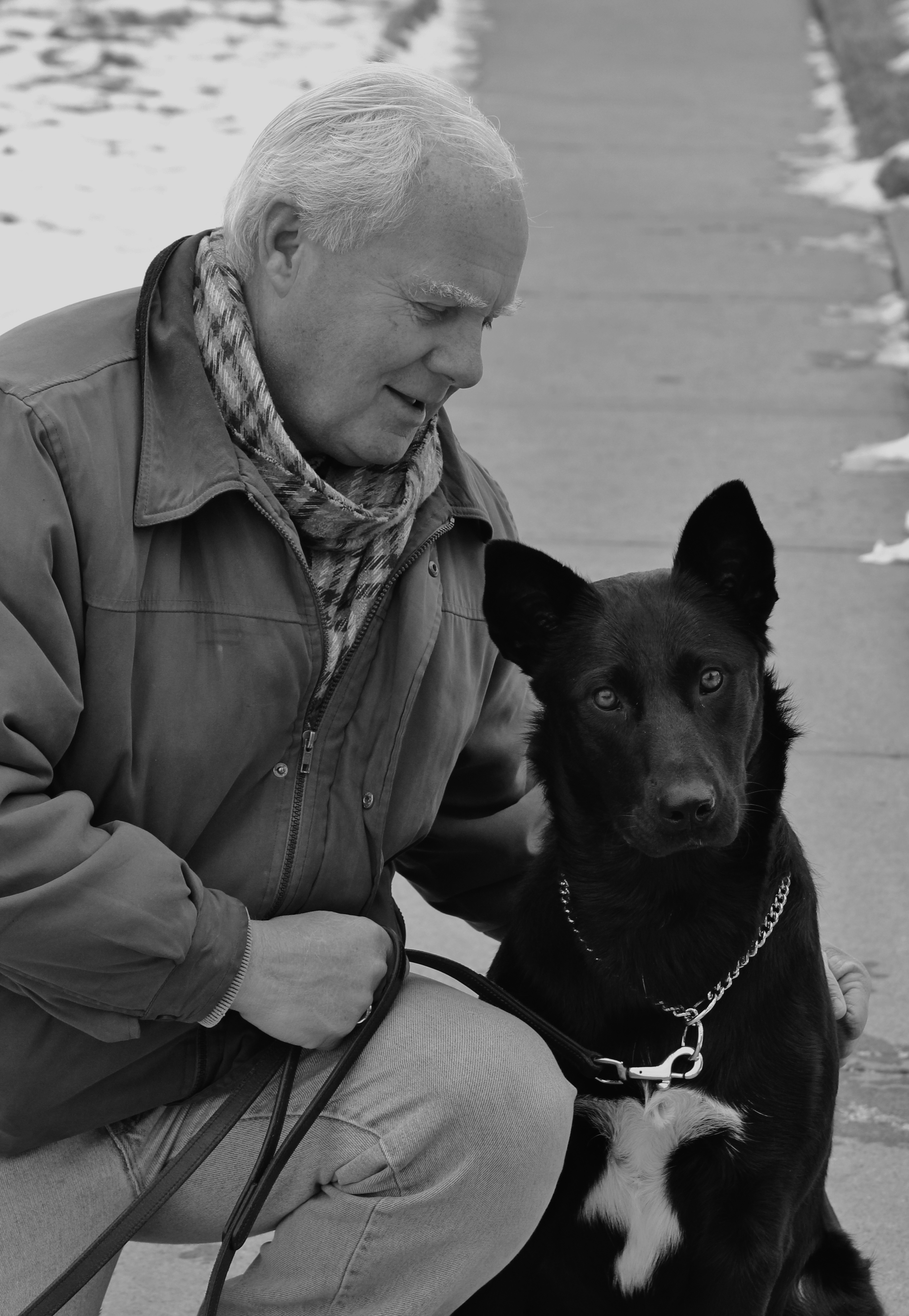Larry & Shadow