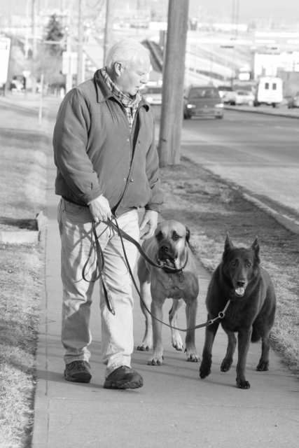 2 dogs