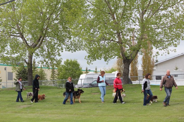 Pack Walk