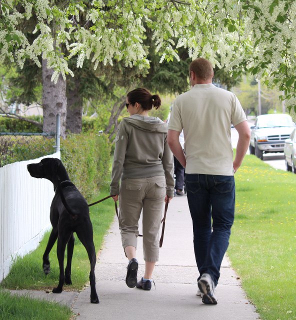 Walking with Bobby
