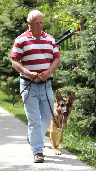 Loose Leash Walking
