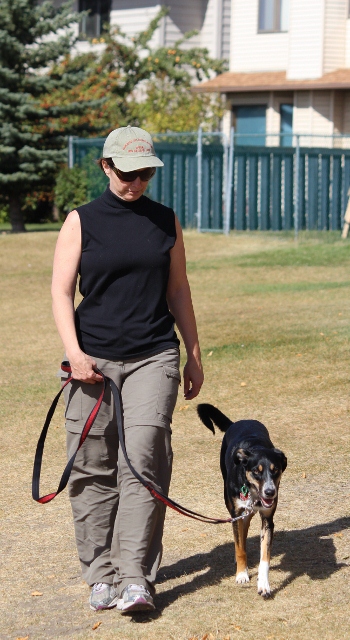 Loose Leash Walking